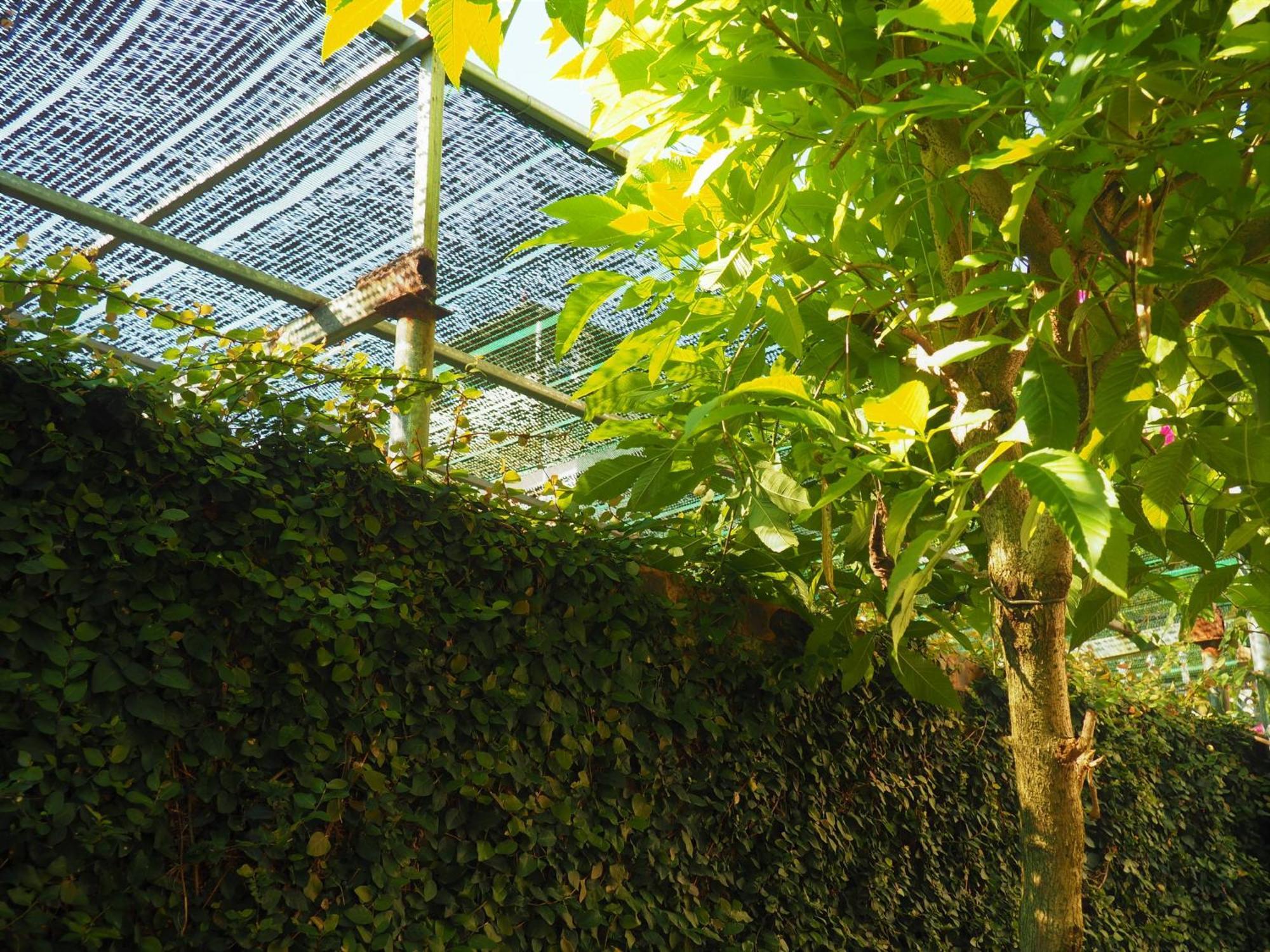 Gia Bao Homestay - Cao Bang Exterior photo